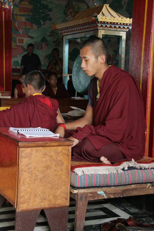 India & Nepal 2011 - 0459